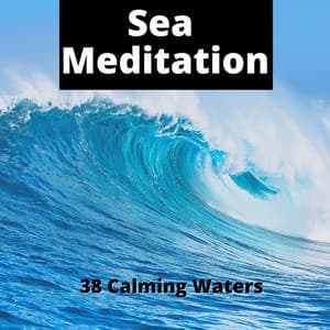 Sea Meditation - 38 Calming Waters - Ocean Noise Channel