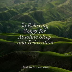 50 Relaxing Songs for Absolute Sleep and Relaxation - Meditación Guiada