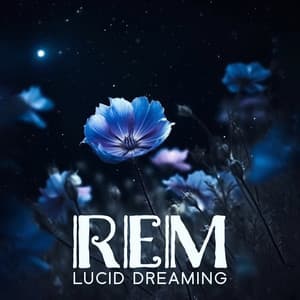 REM Lucid Dreaming: Healing Meditation Zone, Music for Deep Sleep - Sleeping Music Zone