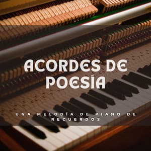 Acordes De Poesía: Una Melodía De Piano De Recuerdos - Paz del piano