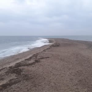 Meeting on the Beach - Morning Jazz