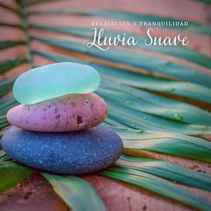 Relajación y Tranquilidad: Lluvia Suave - Relajación Natural Maestro
