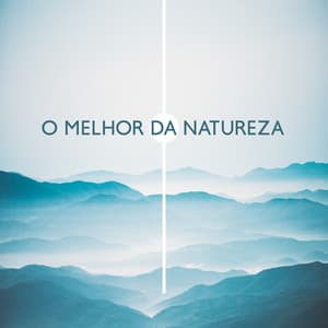 O Melhor da Natureza: Sons relaxantes de selva, floresta e vento - Natureza Musica Bem-Estar Academia