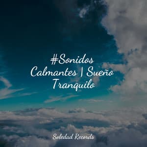 #Sonidos Calmantes | Sueño Tranquilo - Masaje Relajante Masters