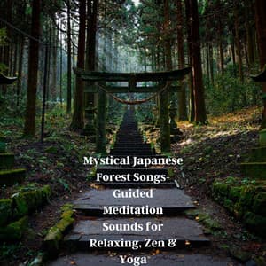 Mystical Japanese Forest Songs- Guided Meditation Sounds for Relaxing, Zen & Yoga - Natural Sounds