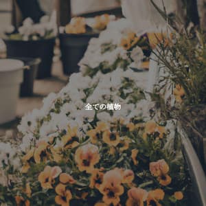 全ての植物 - Musica da Lavoro