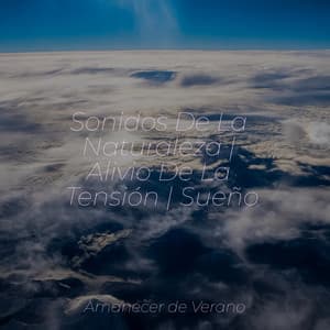 Sonidos De La Naturaleza | Alivio De La Tensión | Sueño - Sleep Baby Sleep
