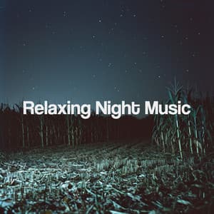 Relaxing Night Music - Entspannungsmusik