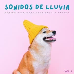 Sonidos De Lluvia: Música Relajante Para Perros Vol. 1 - Academia de sonido de lluvia curativa
