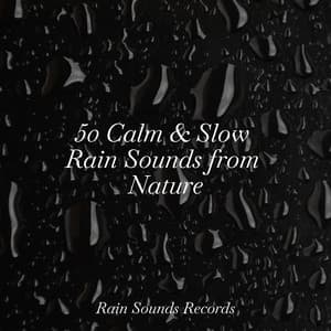 50 Calm & Slow Rain Sounds from Nature - Yoga