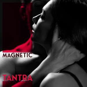 Magnetic Tantra - Jonathan Segue