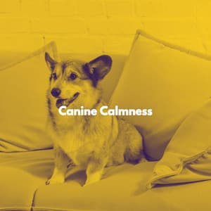 Canine Calmness - Reading Jazz Classics