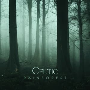 Celtic Rainforest: Fantasy Instrumental Music, RPG Background Music, Board Games Songs, Reading Melodies - Celtic Music Voyages