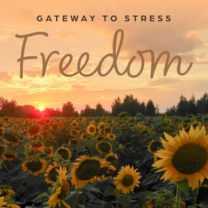 Gateway to Stress Freedom - Relieving Stress Music Collection