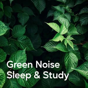 Green Noise Sleep & Study - Naturgeräusche zur Entspannung