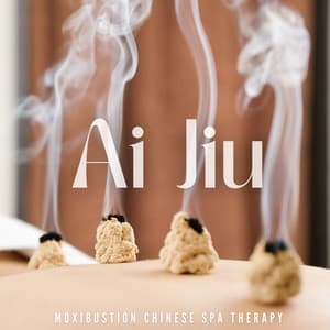 Ai Jiu: Moxibustion Chinese Spa Therapy - Chinese Yang Qin Relaxation Man