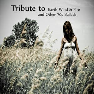 A Tribute to Earth Wind and Fire and Other 70s Ballads - Acoustic Guitar Tribute Players