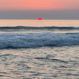 Lacanau Beach and Wave Sound Edition - ASMR Baby Sleep Sounds