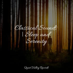 Classical Sounds | Sleep and Serenity - Sounds of Nature White Noise for Mindfulness Meditation and Relaxation