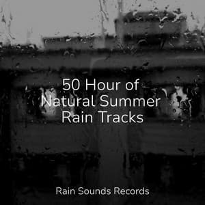 50 Hour of Natural Summer Rain Tracks - Relaxing Rain Sounds