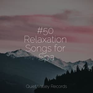 #50 Relaxation Songs for Spa - Tinnitus Aid