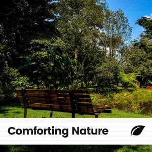 Comforting Nature - Organic Nature Sounds