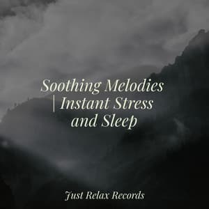 Soothing Melodies | Instant Stress and Sleep - Rising Higher Meditation