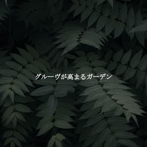 グルーヴが高まるガーデン - Soft Jazz Radio