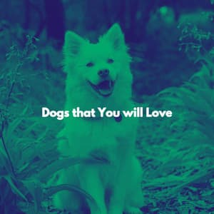 Dogs that You will Love - Dinner Music Chillout