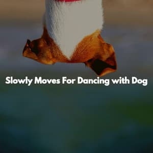 Slowly Moves For Dancing with Dog - Mellow Jazz Beats