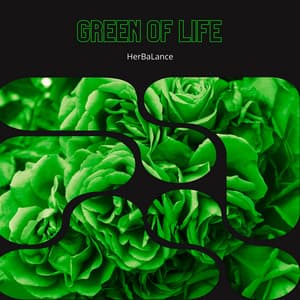 Green of Life: The Secret of Parsley - HerBaLance
