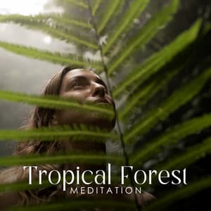 Tropical Forest Meditation: Feel The Tropical Safari, Wild Meditation Music - Relaxation Meditation Songs Divine