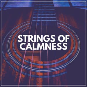 Strings of Calmness - Guitar
