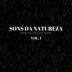 Sons Da Natureza: Sons De Chuva À Noite Vol. 1 - Música Relax para Cafe