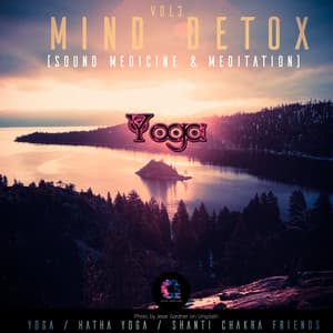 Mind Detox , Vol.3 - Hatha Yoga