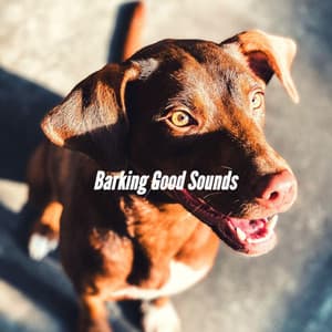Barking Good Sounds - Dog Separation Anxiety Music