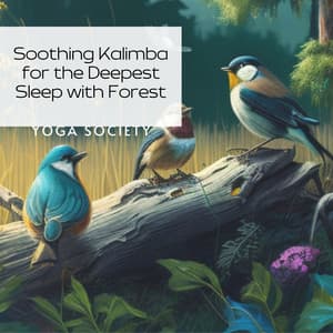 Soothing Kalimba for the Deepest Sleep with Forest - Yoga Society