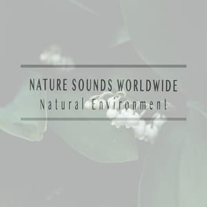 Natural Environment - Nature Sounds Worldwide