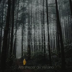 50 Canciones De Ondas Delta Para El Spa Y La Relajación - Chillout Lounge