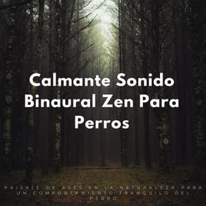 Calmante Sonido Binaural Zen Para Perros: Paisaje De Aves En La Naturaleza Para Un Comportamiento Tranquilo Del Perro - Pájaros en la mañana