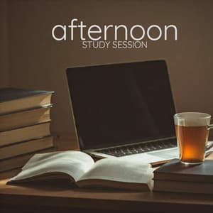 Afternoon Study Session: Quiet Lofi - lofi at the desk