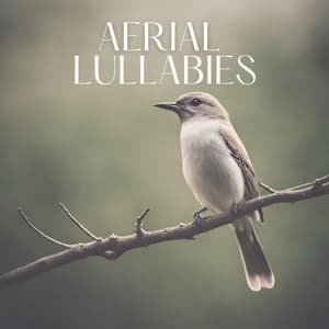 Aerial Lullabies: Relaxing Birdsong Music to Soothe the Soul - Garden of Zen Music