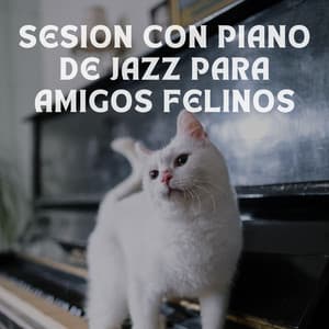 Sesion Con Piano De Jazz Para Amigos Felinos - Pianoramix