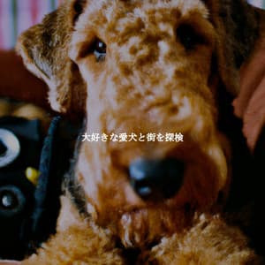 大好きな愛犬と街を探検 - Sleepy Jazz