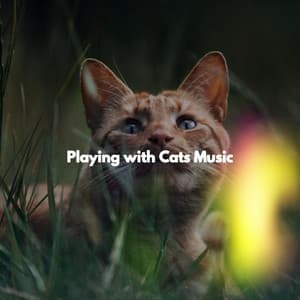 Playing with Cats Music - Calming Jazz Lounge