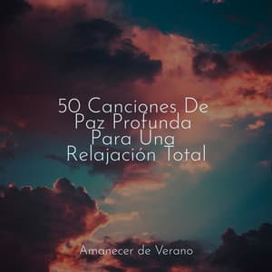50 Canciones De Paz Profunda Para Una Relajación Total - Sons da Natureza