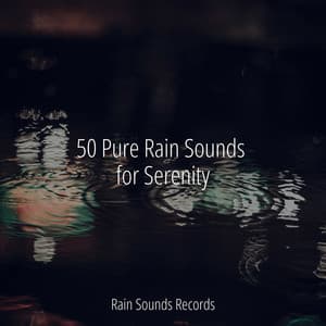 50 Pure Rain Sounds for Serenity - Meditation