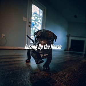 Jazzing Up the House - Dog Anxiety Music