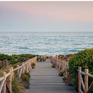 Tranquil Pathways: Music for Mindful Relaxation - Walt's Strings