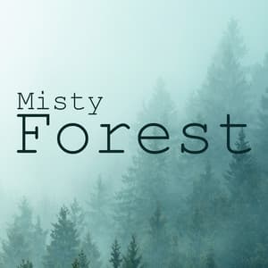 Misty Forest: Natural Meditation Practice - Forest Hills Music Universe